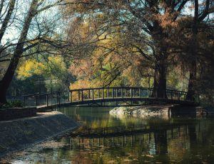 Serene landscape representing inner peace and emotional clarity, inspired by Bible verses