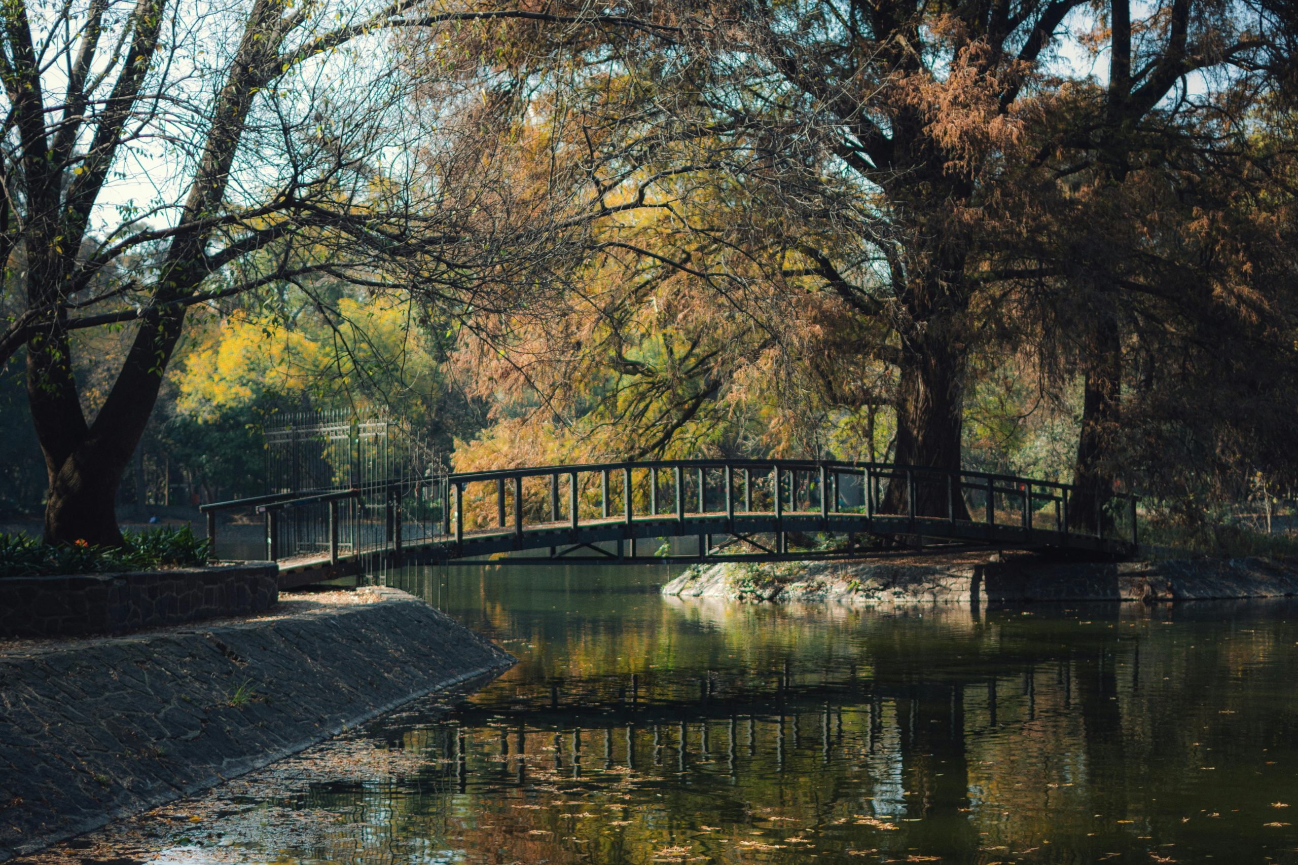 Serene landscape representing inner peace and emotional clarity, inspired by Bible verses